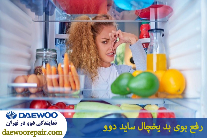 رفع بوی بد یخچال ساید دوو 